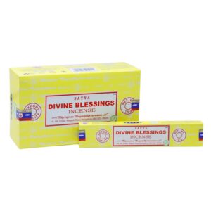 Satya Divine Blessings Incense 15 gms